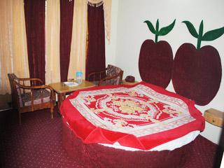Hotel Neha Palace